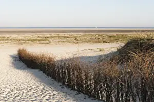 Dutch Coastal Landscape Drucke: Helmgras, Marram Grass