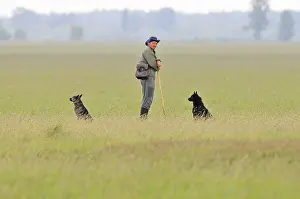 Hungary Landscape Photography Drucke: Herder, Shepherd