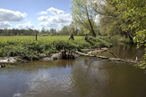 River Landscapes In Europe Drucke: Het Lutterzand Twente
