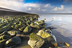 UNESCO World Heritage Site Wadden Sea Drucke: Het Wierumerwad, the Wierumerwad