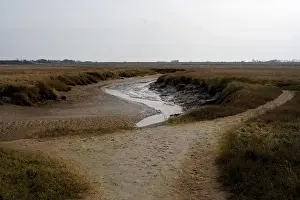 Europe Nature Reserve Drucke: Het Zwin