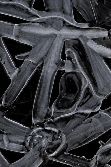 Black And White Winter Scene Drucke: Ice crystals
