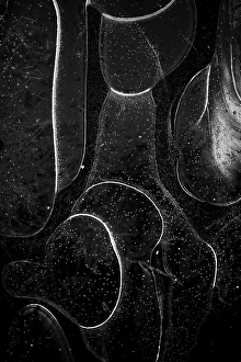 Black And White Winter Landscape Drucke: Ice crystals