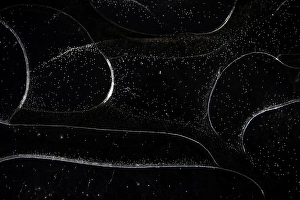 Bilder Datiert 27. Februar 2022: Eiskrystalle