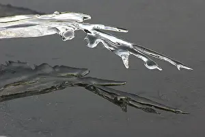 Crystal Ice Formations Drucke: ijs, ice