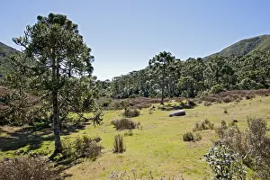 South America Landscape Drucke: Itatia NP