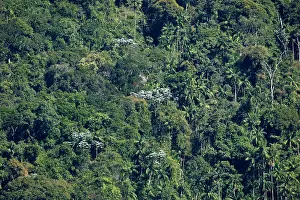 South America Landscape Drucke: Itatia NP