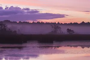 Bilder Datiert 3. November 2016: Kalmthoutse Heide