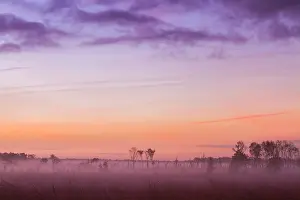 Bilder Datiert 3. November 2016: Kalmthoutse Heide
