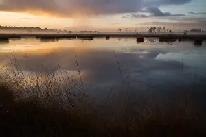 Bilder Datiert 3. November 2016: Kalmthoutse Heide