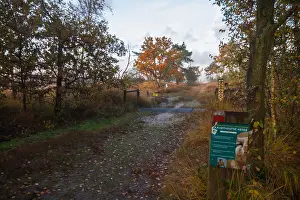 Bilder Datiert 3. November 2016: Kalmthoutse Heide