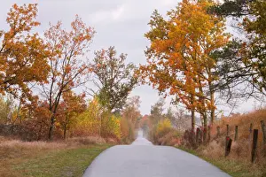 Bilder Datiert 3. November 2016: Kalmthoutse Heide