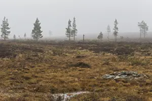 Bilder Datiert 24. Mai 2016: Kaunispään Landschaft
