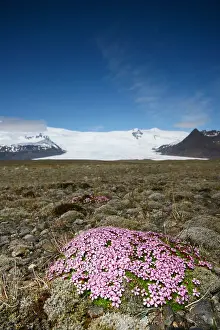 Europe Landscape Drucke: Kfjarjokull