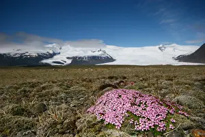 Europe Landscape Drucke: Kfjarjokull