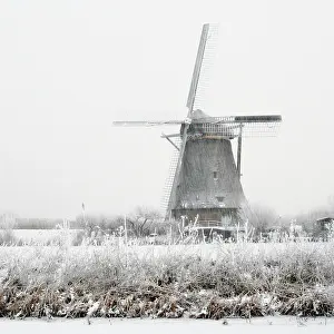 Bilder Datiert 4. März 2006: Kinderdijk