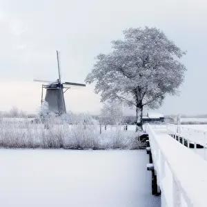 Bilder Datiert 4. März 2006: Kinderdijk