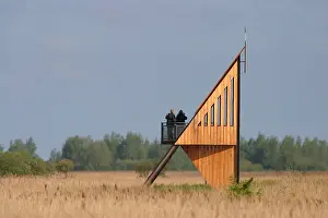 Mai Drucke: Kollumerwaard