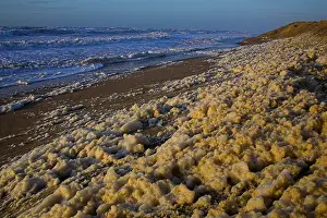 Dutch Coast Drucke: Kust, Coast