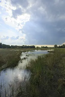 August Drucke: Laegieskamp