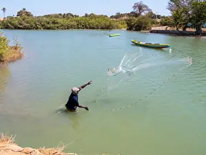 African Landscape Drucke: Landscape from the Gambia