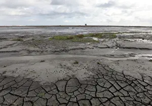 Dutch Coastal Landscape Drucke: Landscape the Markerwadden