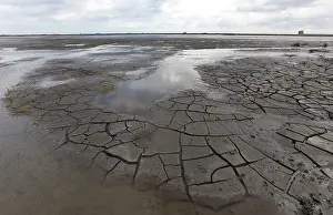 Dutch Coastal Landscape Drucke: Landscape the Markerwadden