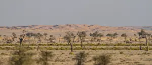 Oman Landscape Photography Drucke: Landscape Muntasar