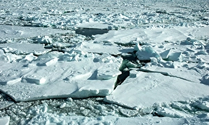 Svalbard Landscape Drucke: Landscape Svalbard