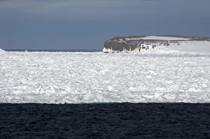 Ice Covered Mountain Peaks Drucke: Landscape Svalbard