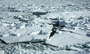 Arctic Nature Landscapes Drucke: Landscape Svalbard