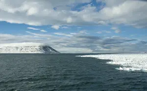 Spitsbergen Wildlife Images Drucke: Landscape Svalbard