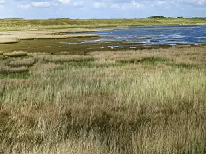 Bilder Datiert 30. Mai 2015: Landschaft auf Texel