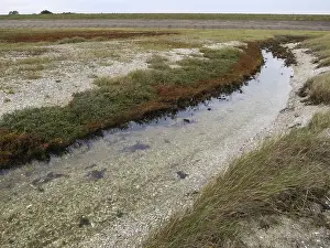 Autumn In Europe Drucke: Landscape at Texel