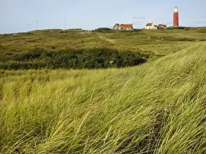 Lighthouse On Texel Island Drucke: Landscape at Texel