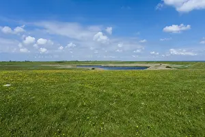 Netherlands Nature Reserve Drucke: Landscape at Texel