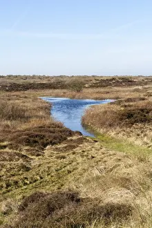 Gerahmter Druck : Landschaft auf Texel Gerahmter Druck : Landschaft auf Texel