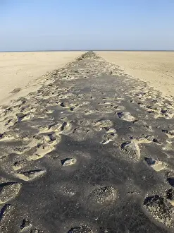 Bilder Datiert 18. Mai 2014: Landschaft auf Texel.