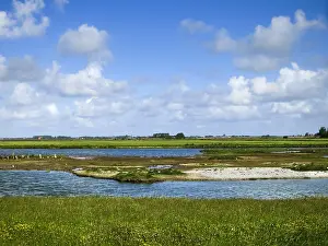 Europe Nature Reserve Drucke: Landscape at Texel