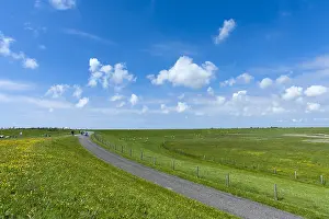 Landschaft auf Texel