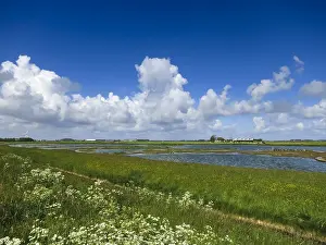 Bilder Datiert 30. Mai 2015: Landschaft auf Texel