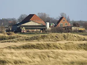 Landschaft auf Texel