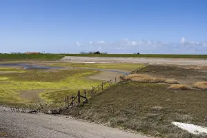Landschaft auf Texel.