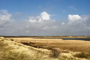 Landschaft auf Texel