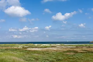 North Holland Nature Reserves Drucke: Landscape at Texel