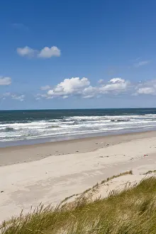 Texel Beach Drucke: Landscape at Texel
