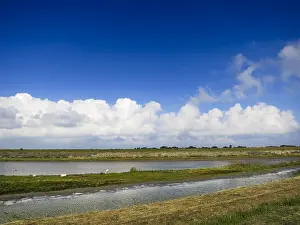 Wadden Sea Landscape Photography Drucke: Landscape at Texel