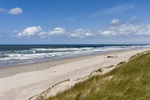 Texel Beach Drucke: Landscape at Texel
