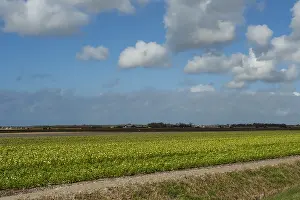 Landschaft auf Texel