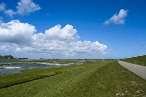 Texel Island Nature Reserve Drucke: Landscape at Texel